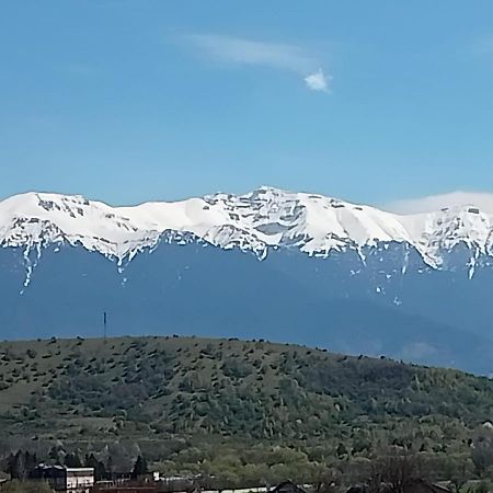 דירות Zărneşti Le Nid D'Adam מראה חיצוני תמונה