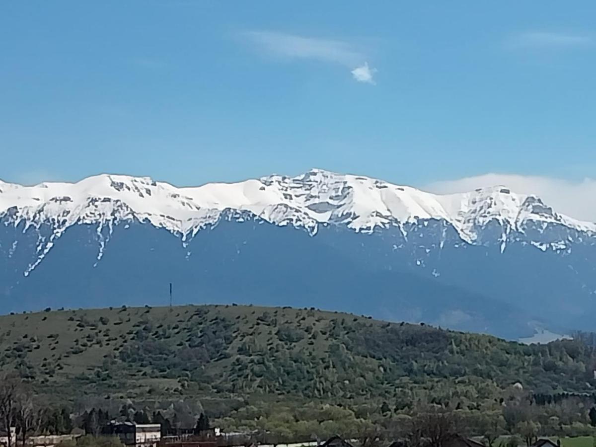 דירות Zărneşti Le Nid D'Adam מראה חיצוני תמונה